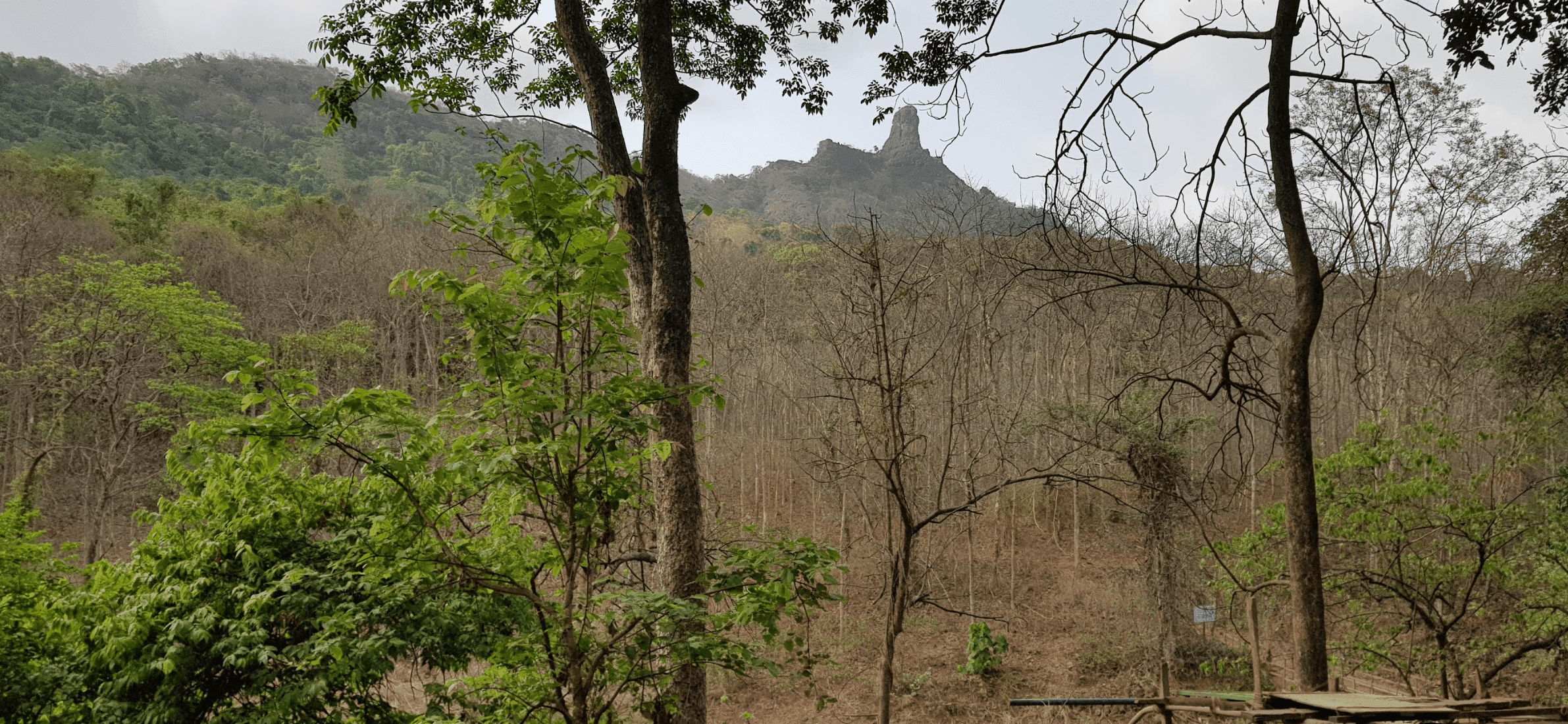 Karnala Fort seen from the starting point